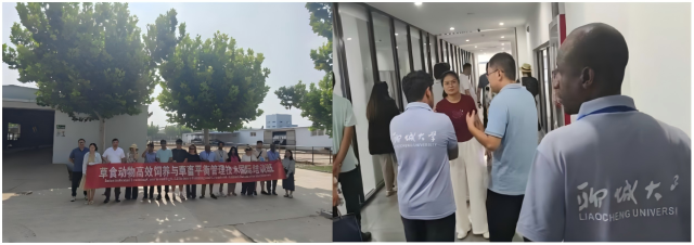 20250804175429773866208079.png WPS拼图0.png