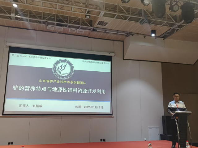 20251112176293480312909490.png 图片2.png